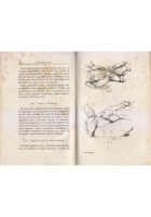 MATERNITÀ Dalla Fecondazione al Puerperio di Francesco Stura 1920 Libro Medicina