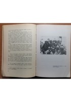 SAN GIORGIO E IL DRAGO di Mario Tori L'ultima avventura della nave Libro Guerra