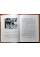 DIAVOLI SULLE TOFANE di Luciano Viazzi 1971 Edizioni Agielle Libro Alpini I W W