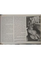 I MEZZI D'ASSALTO DELLA Xª FLOTTIGLIA MAS di ERMINIO BAGNASCO MARCO SPERTI Libro