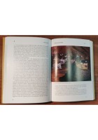 PEPPINO AMORE MIO Léontine De Nittis di Michele Cristallo Libro DEDICA AUTORE
