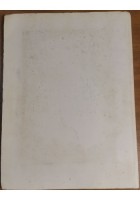 BOCCASILE di Giampiero Mughini e Maurizio Scudiero IMMAGINI ARTE ITALIANA 2003