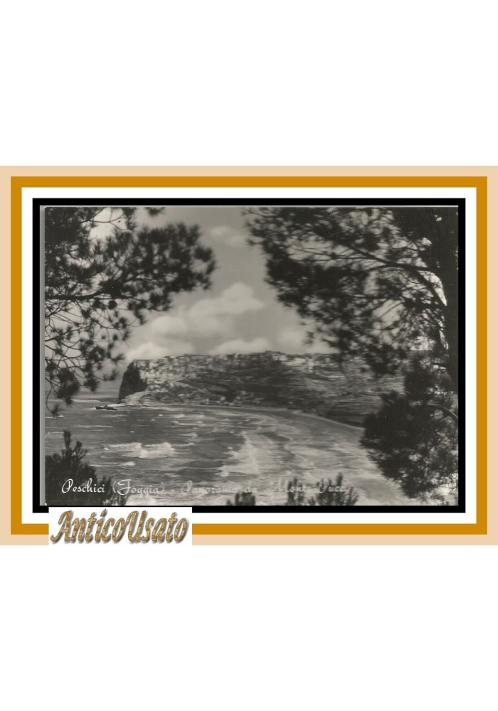 PESCHICI PANORAMA DA MONTE PUCCI CARTOLINA 1960 Viaggiata Foggia Vintage