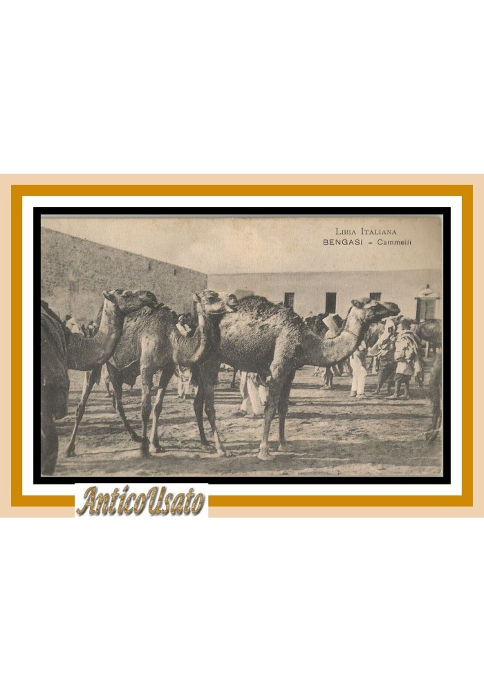 Cartolina Bengasi Cammelli 1916 Libia Italiana Originale Vintage postcard Guerra