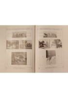 KUNST KATALOG DER NEUE PHOTOGRAPHISCHEN GESELLSCHAFT Steglitz Berlin Libro