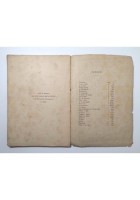 NUOVI SONETTI NAPOLETANI di Fiordelisi 1886 Pierro Libro Antico Poesia Dialetto