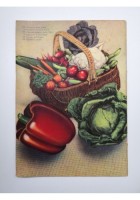 SEMENTI SGARAVATTI PADOVA Catalogo generale 1949 Brochure Depliant Illustrato