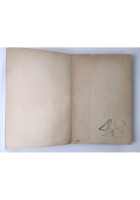 LA BRUTTA BESTIA di De Angelis 1944 Donatello De Luigi Libro Romanzo I edizione