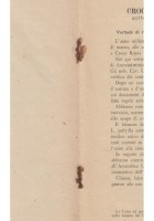 CROCE ROSSA ITALIANA Bari 1904 Resoconto Morale Economico Libro Antico Accolti