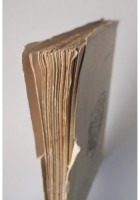 LA BEFFA DI BUCCARI Gabriele D'Annunzio 1923 Treves 3 edizione Libro Quarnaro
