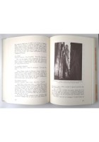 CURIOSANDO PER MODUGNO di Nicola Milano 1997 Levante Editori Libro Storia Locale