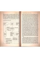 TRATTATO DI TEORIA SOCIALE di Walter G Runciman 1995 Einaudi paperback Libro
