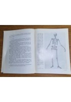 IL DIO IN CUI CREDIAMO di Pier Carlo Landucci 1968 pro sanctitate Libro