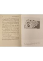 ALLE ORIGINI DEL DIALETTO PUGLIESE di Stefano L Imperio 1993 Schena Libro Puglia