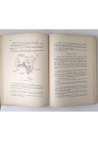MANUALE DI CULTURA GENERALE 1941 Dopolavoro Aeronautica Fascismo Scuola PNF