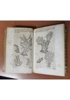 GEMMARUM ET LAPIDUM HISTORIA di Anselmus Boetius De Boot 1647 Libro antico gemme