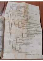 GEMMARUM ET LAPIDUM HISTORIA di Anselmus Boetius De Boot 1647 Libro antico gemme