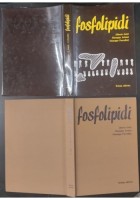 FOSFOLIPIDI di Alberto Gaiti Giuseppe Arienti G Porcellati 1978 Liviana Libro