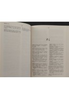 GRECO ANTICO NEOGRECO E ITALIANO di Kolonia Peri 2013 Zanichelli Libro dizionari
