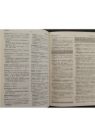 GRECO ANTICO NEOGRECO E ITALIANO di Kolonia Peri 2013 Zanichelli Libro dizionari