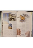 METEOROLOGIA I LIBRI DELLA NATURA di Burroughs Crowder 1997 DeAgostini Libro