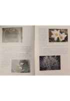 DIARY OF THE MURGIA HILLS DIARIO NATURALISTICO DALLA PUGLIA di Walter 1988 Libro