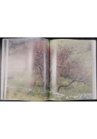 DIARY OF THE MURGIA HILLS DIARIO NATURALISTICO DALLA PUGLIA di Walter 1988 Libro