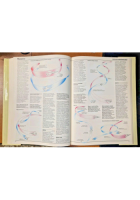 AEREI DA COMBATTIMENTO di Gunston e Spick 1984 Peruzzo Libro Enciclopedia Armi