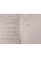 ESERCITAZIONI DI ZOOLOGIA di Sandra Pugno Silvio Ranzi 1970 Ambrosiana Libro