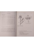 ESERCITAZIONI DI ZOOLOGIA di Sandra Pugno Silvio Ranzi 1970 Ambrosiana Libro