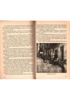 IL POPOLO SICILIANO LA FAMIGLIA E LA CASA di Giuseppe Pitrè 2002 Brancato Libro