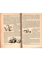 IL POPOLO SICILIANO LA FAMIGLIA E LA CASA di Giuseppe Pitrè 2002 Brancato Libro