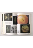 GLI AGRUMI di Baldini e Scaramuzzi 1991 REDA manuale frutticultura agricoltura