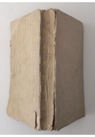 LA SORTE MIGLIORE di Luigi Di San Giusto SEI Libro Romanzo