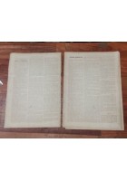 L'ILLUSTRAZIONE ITALIANA 14 agosto 1881 Sul lago di Como Esposizione Nazionale