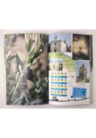 BARI E HINTERLAND di Vito Buono e Angela Delle Foglie 2002 Levante Libro guida