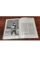 PESCARE IN MARE di Alessandro Magrini 1982 - Editoriale Olimpia libro illustrato