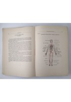 VIVI CON GLI AGENTI NATURALI di Costacurta 1984 Edizioni Medicina Naturale Libro