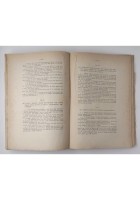 LE COSTITUZIONI DEGLI STATI DELL'EUROPA ORIENTALE volume 2 di Giannini 1930
