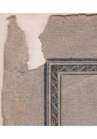CATECHISMO MEDICO SVILUPPO DOTTRINE CONCILIARE RELIGIONE MEDICINA Di Scotti 1822