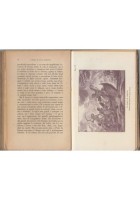 LUCA GIORDANO di Enzo Petraccone 1919 Ricciardi a cura di Benedetto Croce Libro