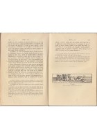 I CARMI di Orazio Flacco 1911 versione integrale Loescher Libro illustrato