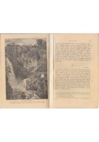 I CARMI di Orazio Flacco 1911 versione integrale Loescher Libro illustrato