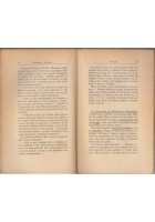 COMMENTO A PINOCCHIO di Armando Michieli 1933 Fratelli Bocca Libro su avventure