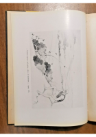 VITA DI LEONARDO di Augusto Garsia 1947 Sansoni libro illustrato per ragazzi