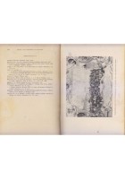 STORIA DELL'UNIVERSITÀ DI BOLOGNA Volume II L'età moderna 1500 1888 di LSimeoni
