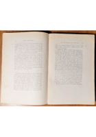 NUOVA LUCE DAI VERI FATTI AVVENUTI IN NAPOLI PRIMA DEL 1799 di Rossi 1890 Libro