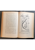 L'ORGANIZZAZIONE DEGLI ESSERI VIVENTI di John Tyler Bonner 1959 libro biologia