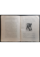LA MACERAZIONE INDUSTRIALE PIANTE TESSILI CON BACILLUS di Domenico Carbone Libro