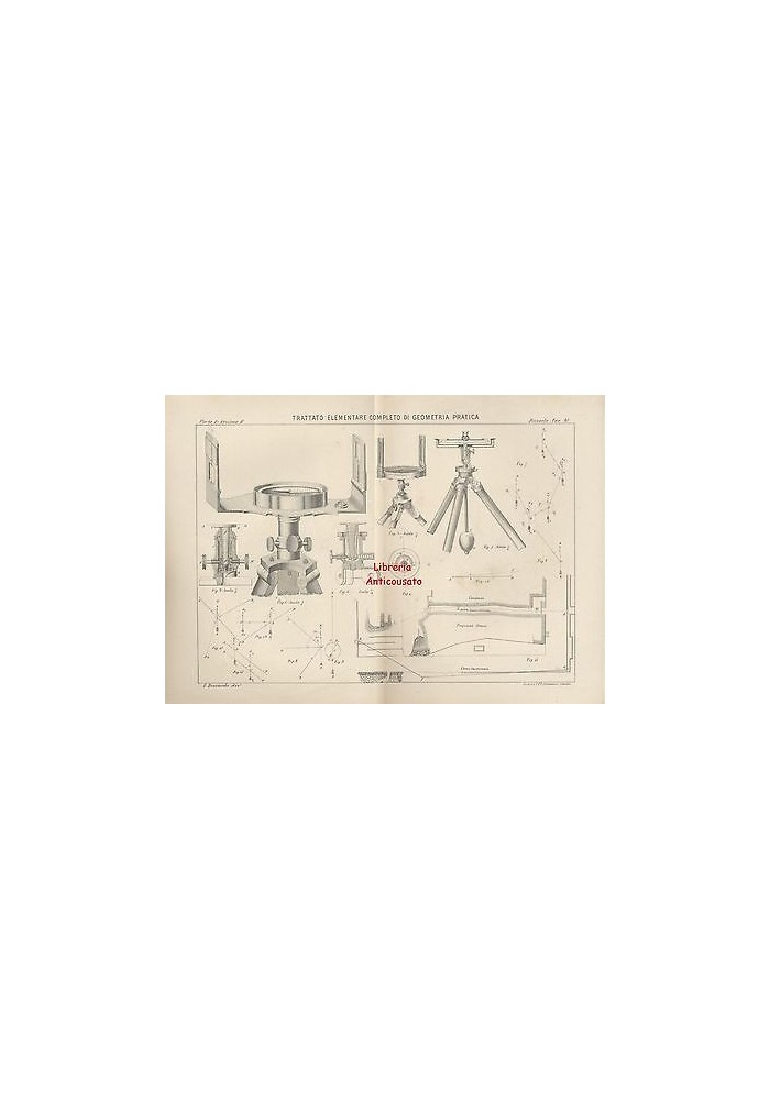 BUSSOLA bellissima tavola disegnata Boccardo ORIGINALE 1885 ottima idea regalo